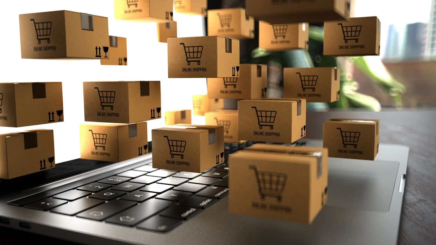 Transportes Para Plataformas De E Commerce